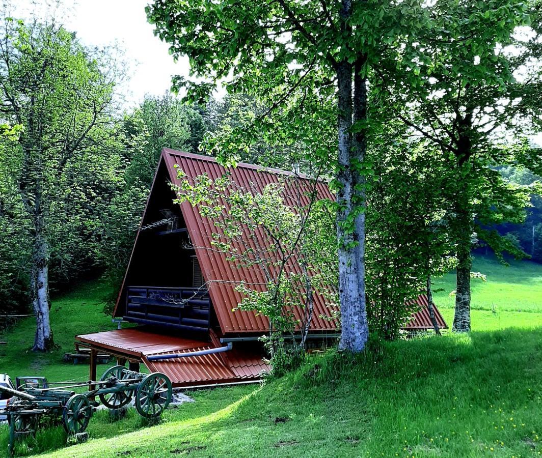 Kuca Za Odmor Gale Villa Delnice Luaran gambar