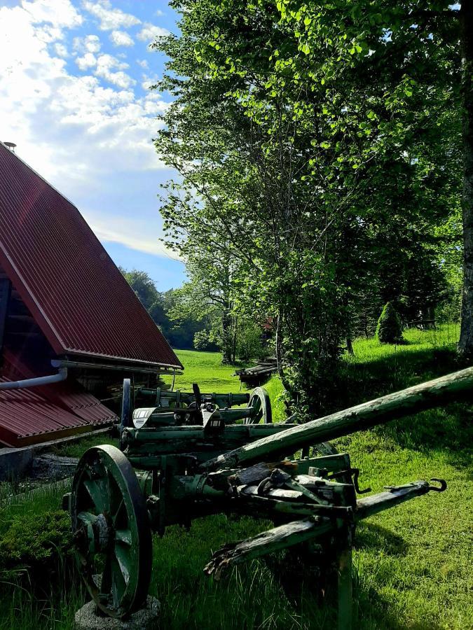 Kuca Za Odmor Gale Villa Delnice Luaran gambar